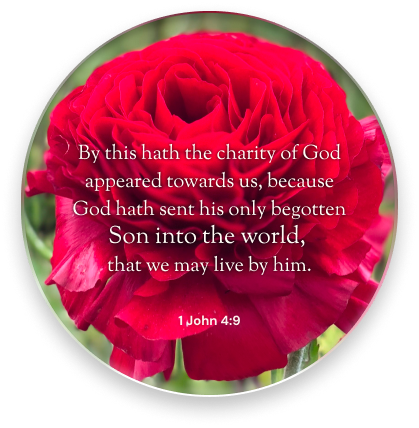 Sample Verse Button 6